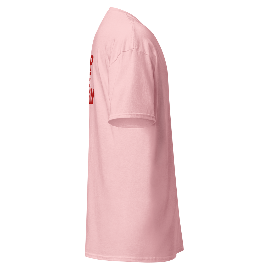 T-shirt wake up barbie, ken is gay