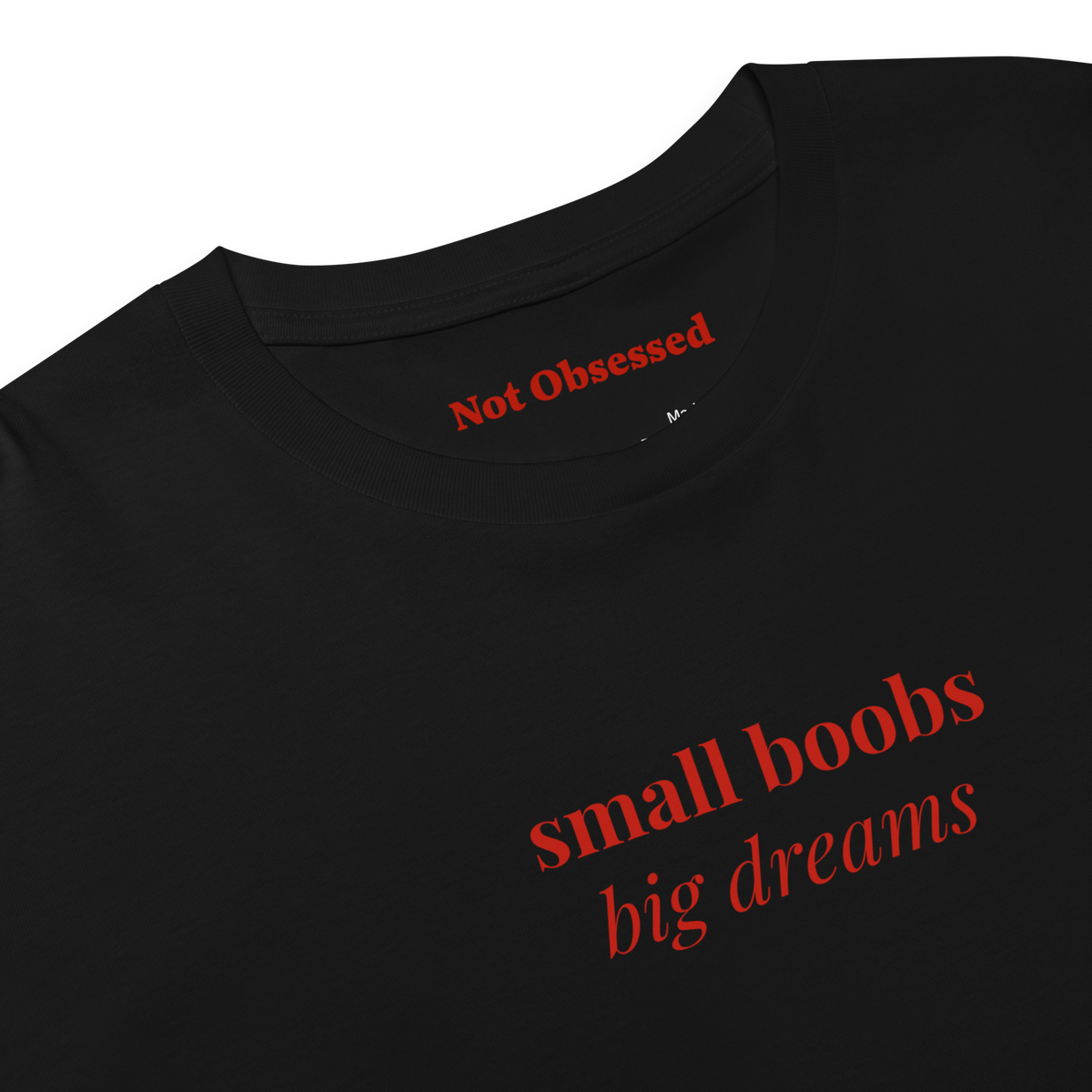 Crop Top small boobs