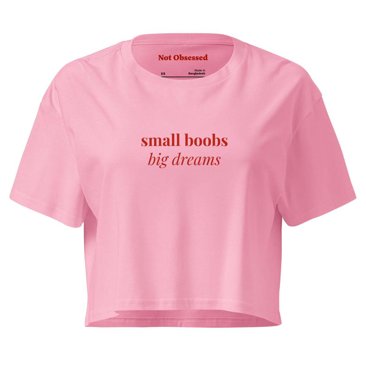 Crop Top small boobs